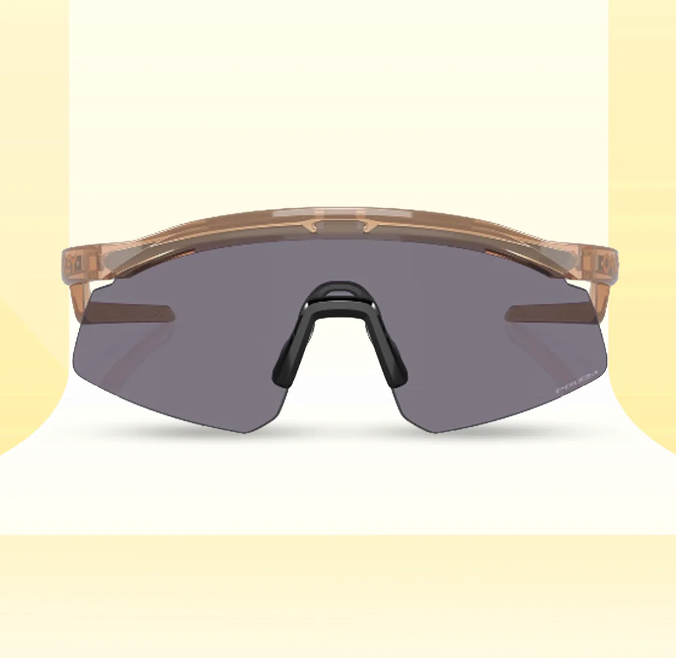 Oakley Hydra Sports ( Black Prizm & Brown Clear )