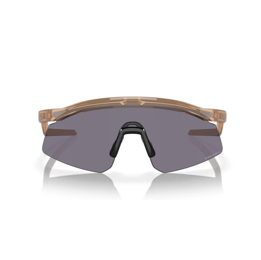 Oakley Hydra Sports ( Black Prizm & Brown Clear )